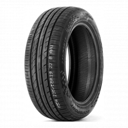 Rapid Ecosport 245/45R19 98Y