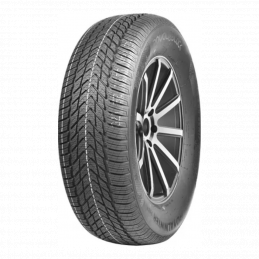 Royal Black Royal Winter HP 195/65R15 95T  XL